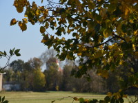Herbsttag in Martinskirchen