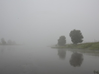 Nebel an der Elbe