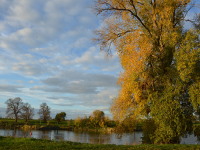 Herbstzauber an der Elbe