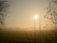 Elblandschaft