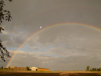 Regenbogen