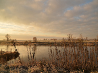 Elbe