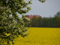 Blick auf Schloss Martinskirchen
